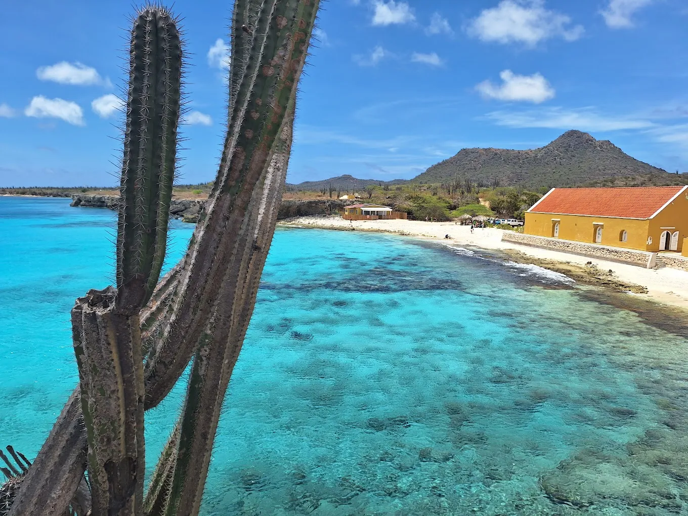 kasoceano_30--bonaire